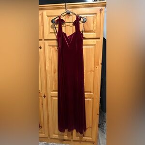 Birdy Grey Cabernet Velvet Dress
